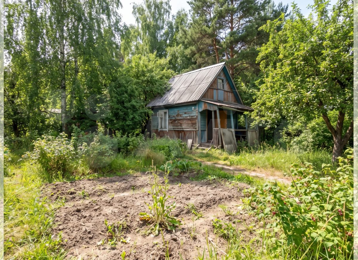 Дизайн дачного участка — фото до