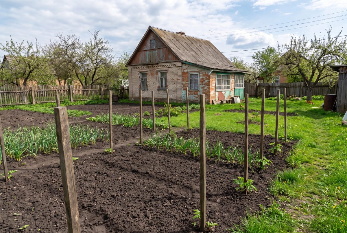 Дизайн огорода — фото до